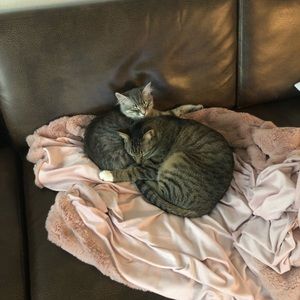 Meet your Posher, Anna